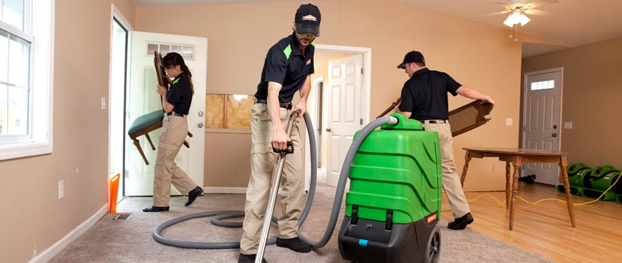 Mount Pleasant, MI cleaning services